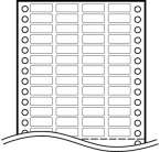 ���i�p�V�[��